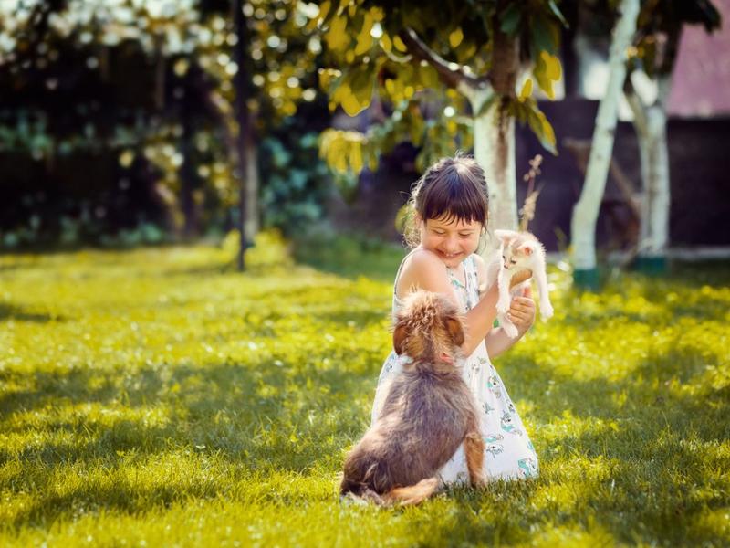 Juegos para que los niños aprendan a cuidar la naturaleza. Foto: iStock.
