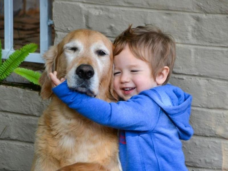 Niño pequeño abrazando a perro golden