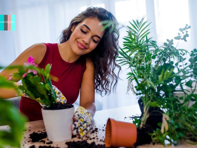 Mujer con plantas