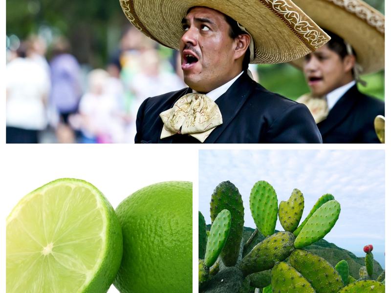 11 frases mexicanas que hacen referencia a comida y que son muy divertidas