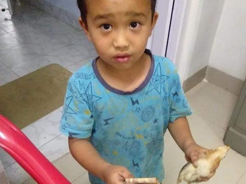 Niño de 6 años lleva al hospital a un pollo al que atropelló accidentalmente y ofrece ahorros para salvarlo