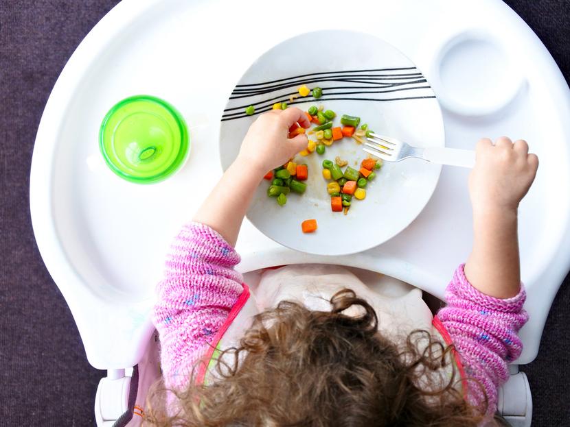 Dieta vegana en niños