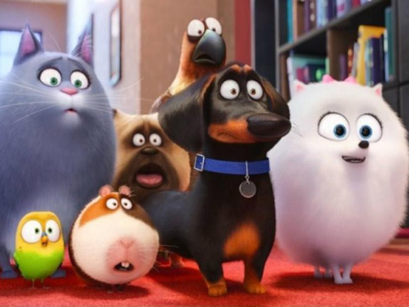 La vida secreta de tus mascotas y todo lo nuevo para ver en Netflix este mes