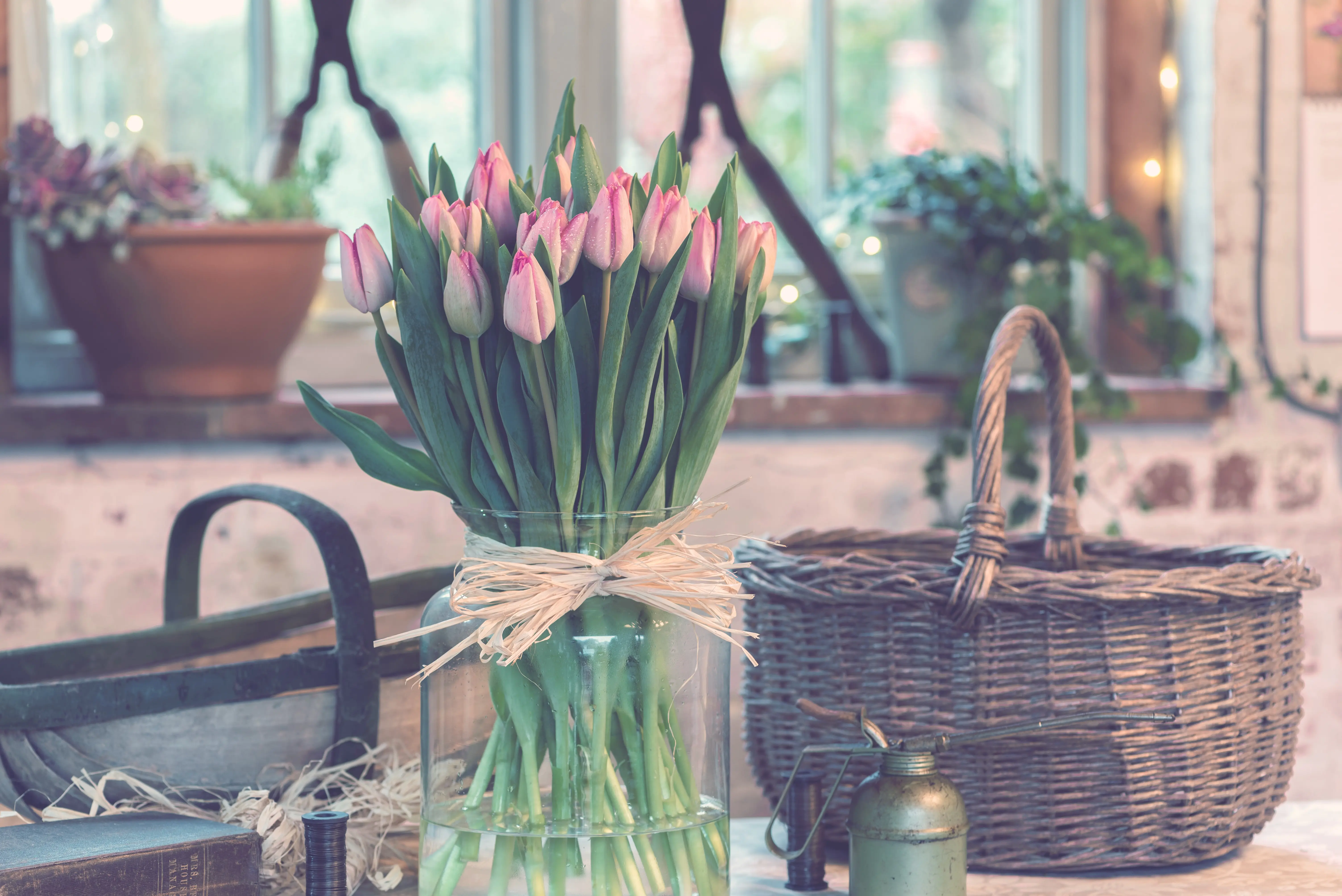 como mantener tulipanes frescos