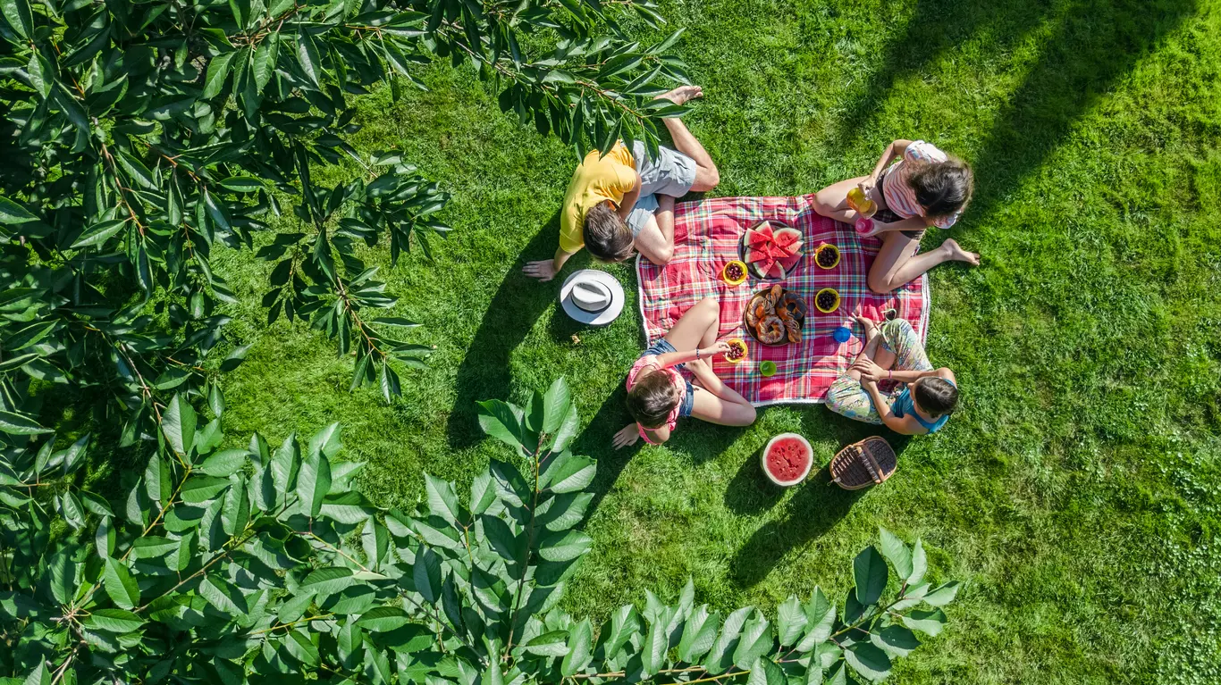 Personas en picnic