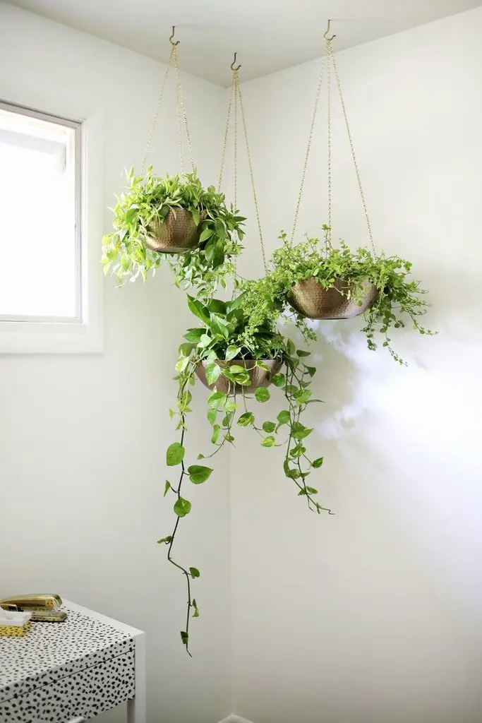 ideas para decorar espacios chicos con plantas