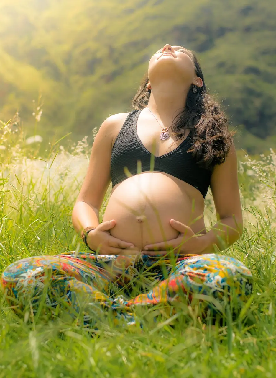 Mujer embarazada / Foto: Pixabay