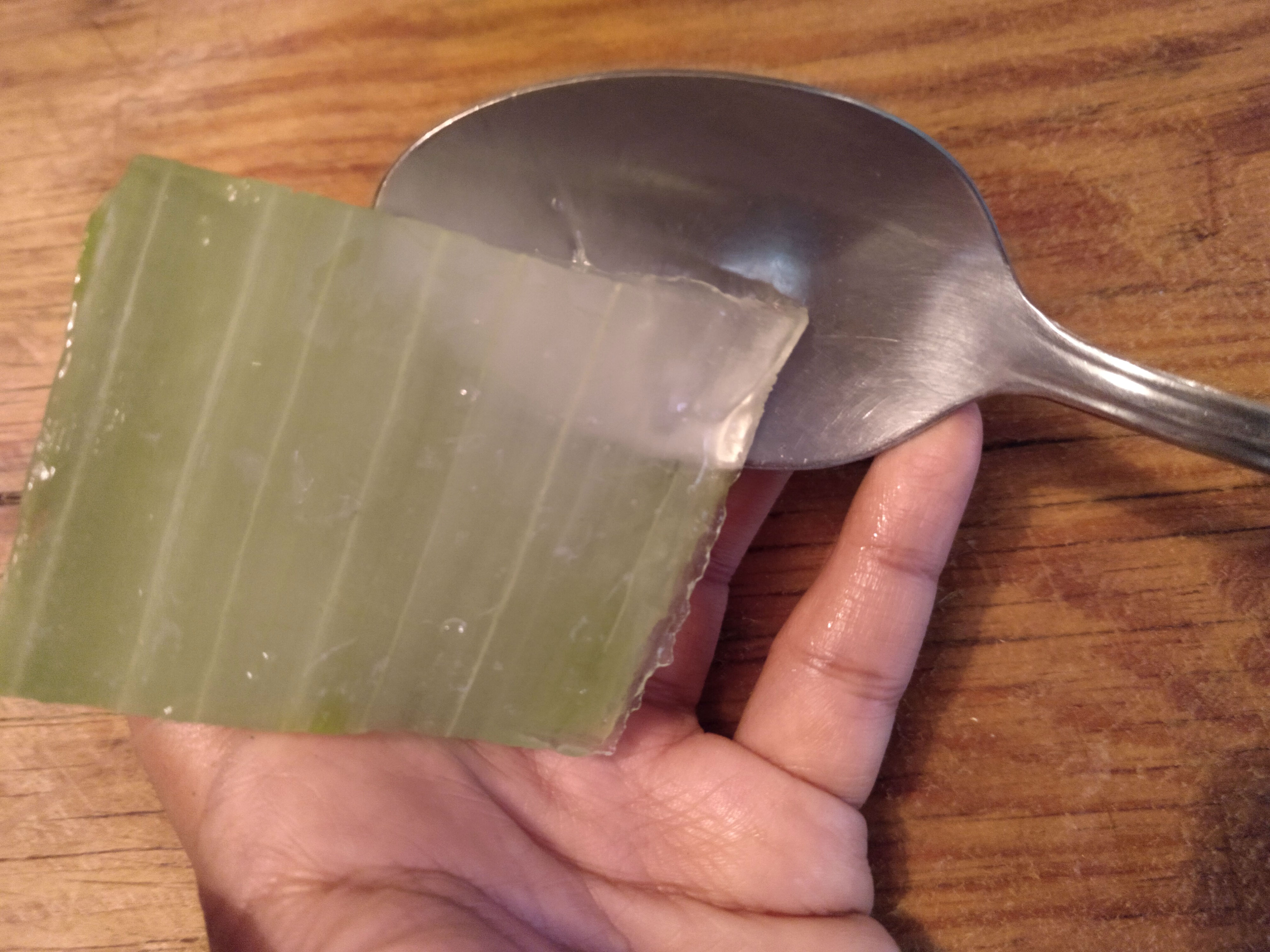 Pasteles promesa congelado Cómo extraer y conservar la pulpa del Aloe Vera para tus tratamientos de  belleza