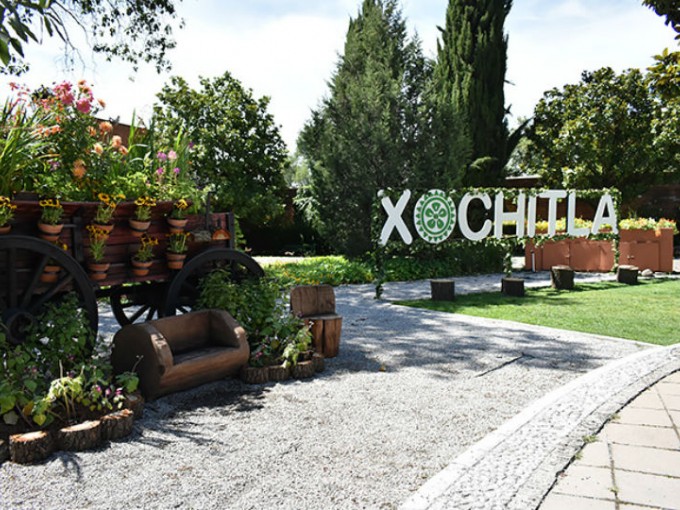 Xochitla Parque Ecológico anuncia su proyecto  de recaudación de fondos: “Adopta una planta”